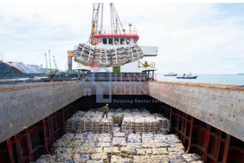 ĐIỂM TIN TUẦN: Xuất khẩu xi măng tăng trưởng ấn tượng, thương hiệu xi măng bao trở lại thị trường