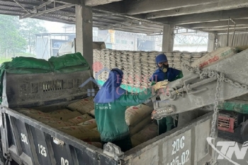 Thái Nguyên: Doanh nghiệp xi măng mở rộng thị trường tiêu thụ