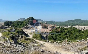 Thanh Hóa cho phép chuyển 4,381 ha rừng tự nhiên để thực hiện dự án mỏ đá vôi Hoàng Mai B