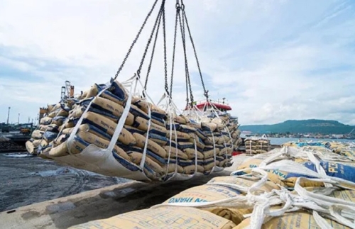 Thị trường trong nước giữ vai trò ngày càng quan trọng đối với đầu ra của ngành xi măng