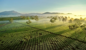 Giá vật liệu xây dựng tại Gia Lai quý I năm 2026