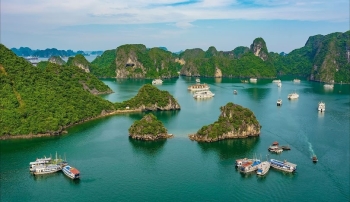 Giá vật liệu xây dựng tại Quảng Ninh quý II năm 2026