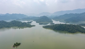 Giá vật liệu xây dựng tại Thái Nguyên quý I năm 2026